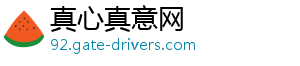 真心真意网